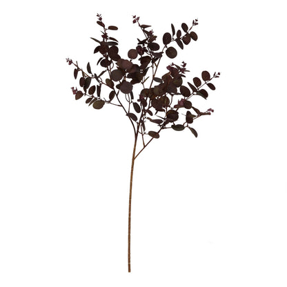 Burgundy Eucalyptus Bunch image 2