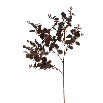 Burgundy Eucalyptus Bunch image 1