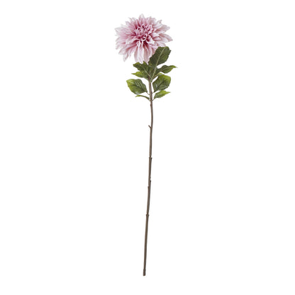 The Natural Garden Collection Pink Dahlia image 3