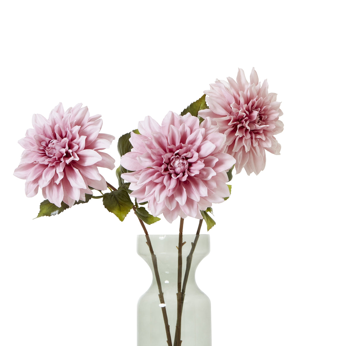 The Natural Garden Collection Pink Dahlia image 4