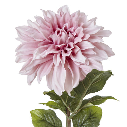 Reigora Natural Garden Pink Dahlia — individual stem design included in Blush Garden