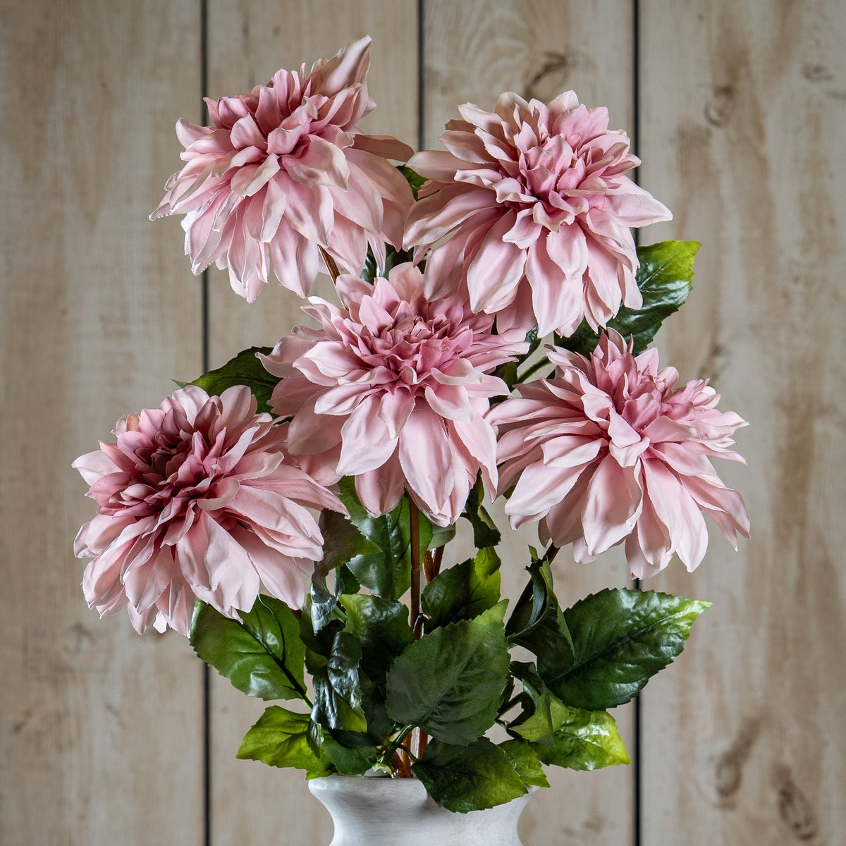 The Natural Garden Collection Pink Dahlia image 1