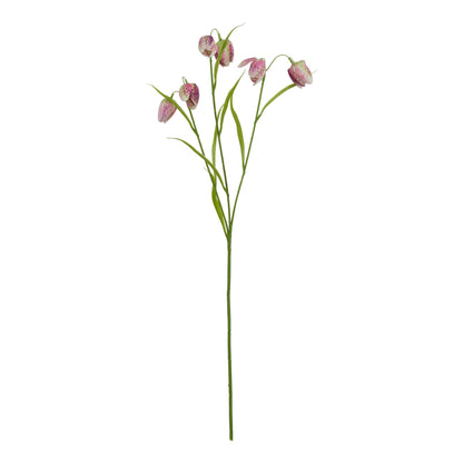 The Natural Garden Collection Purple Fritillaria Stem image 1