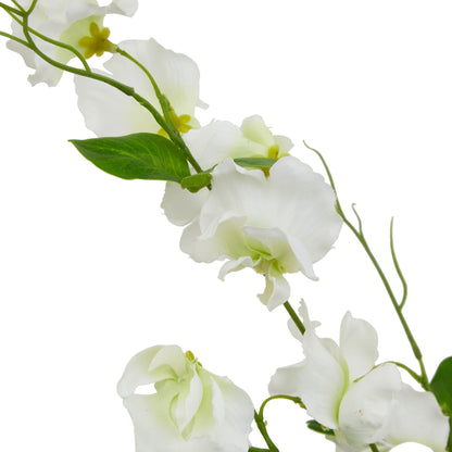 The Natural Garden Collection White Sweetpea Stem image 2