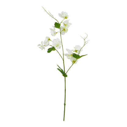 The Natural Garden Collection White Sweetpea Stem image 1