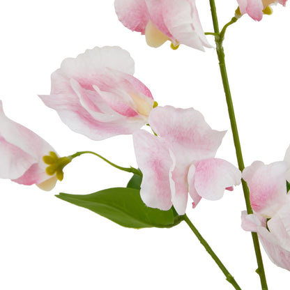The Natural Garden Collection Pale Pink Sweetpea Stem image 2