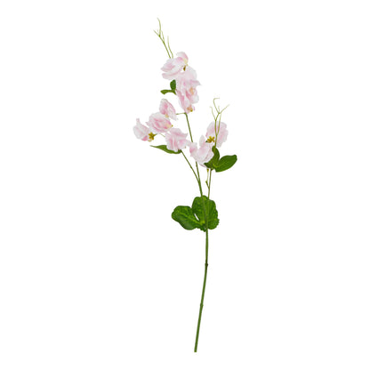 The Natural Garden Collection Pale Pink Sweetpea Stem image 1
