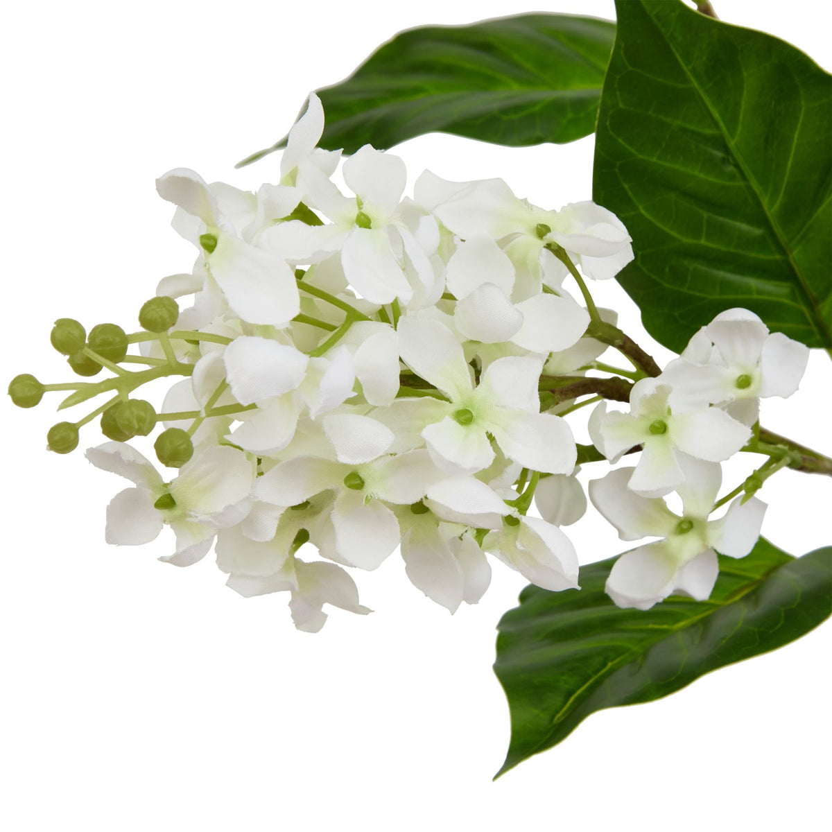 The Natural Garden Collection White Lilac Stem image 2