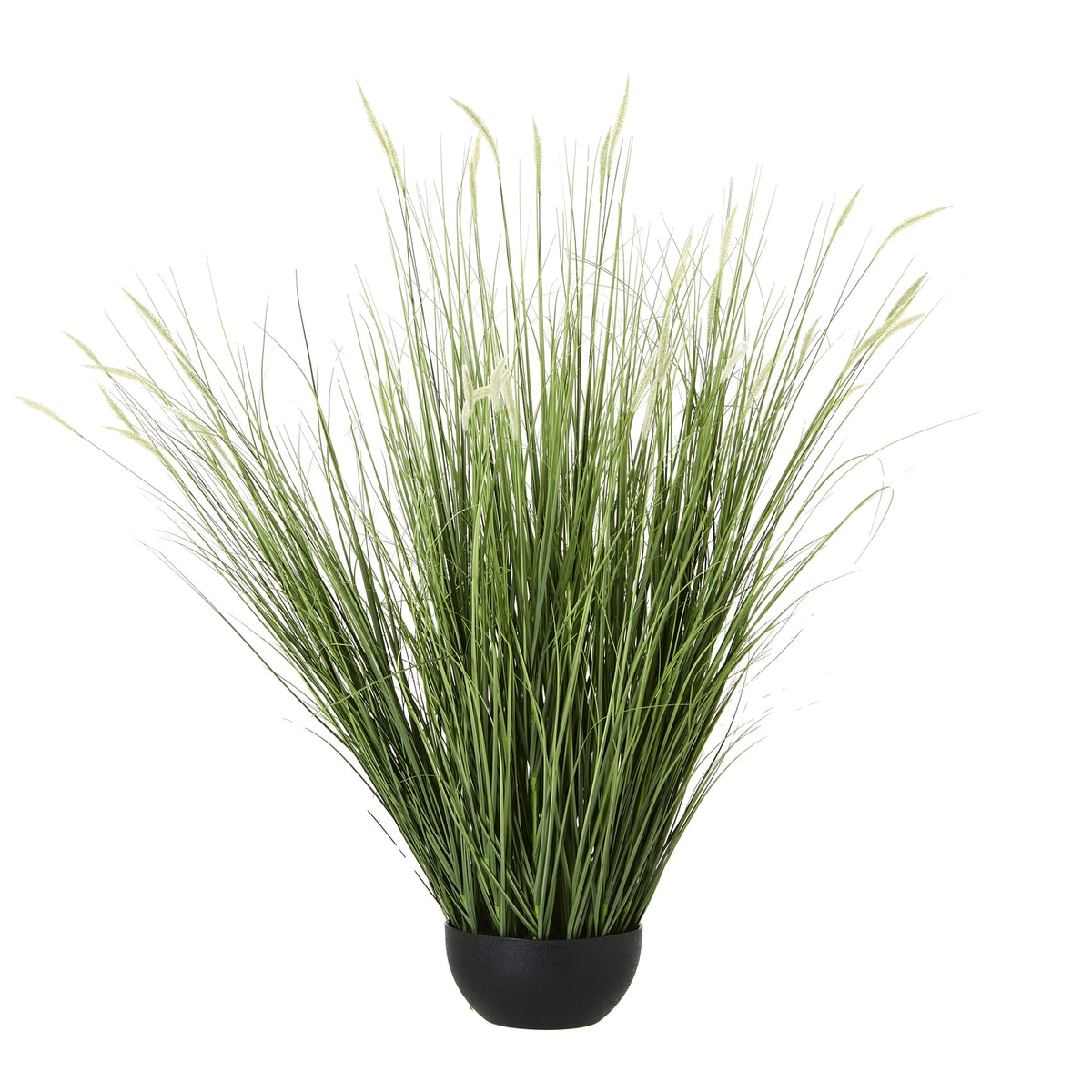 Large Onion Grass Plant In Pot image 1