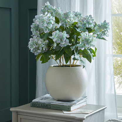 Green Hellebore Plant In Taupe Pot image 5