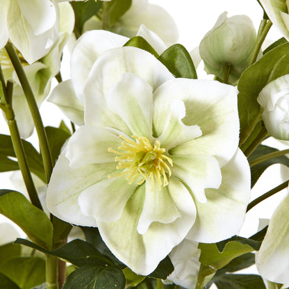 Large White Hellebore In Grey Pot image 5