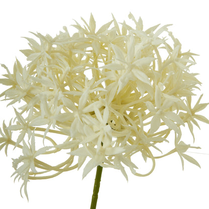 Three Head Cream Allium Spray image 2
