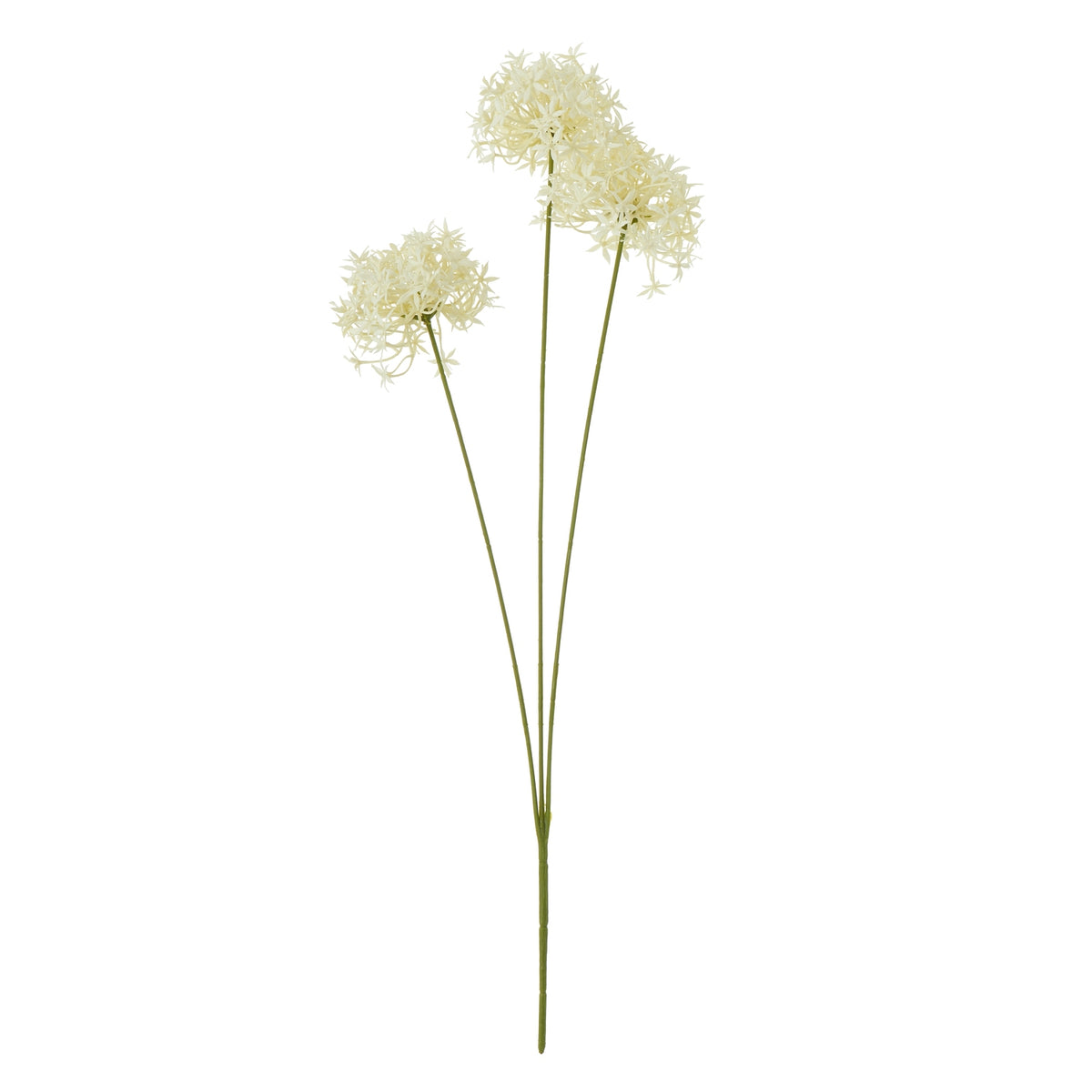 Three Head Cream Allium Spray image 1