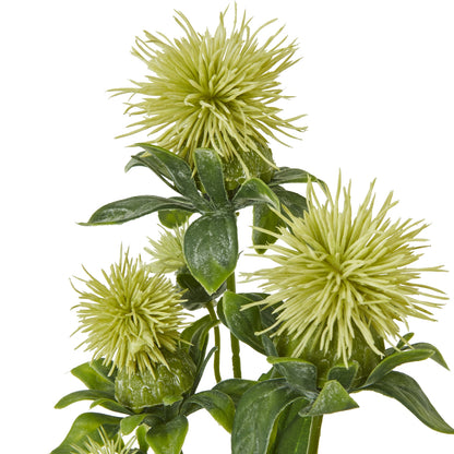 Green Safflower Spray image 2