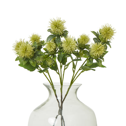 Green Safflower Spray image 3
