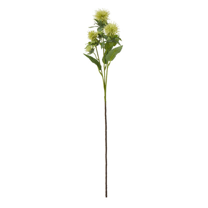 Green Safflower Spray image 1
