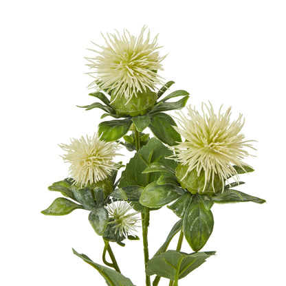 Cream Safflower Spray image 2