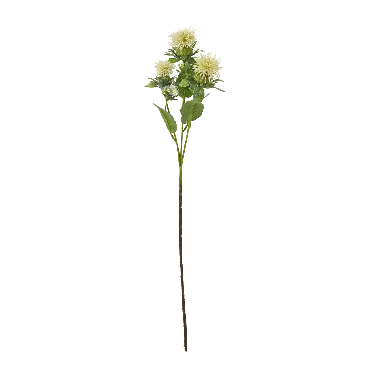 Cream Safflower Spray image 1