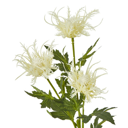 Cream Sea Holly Spray image 2