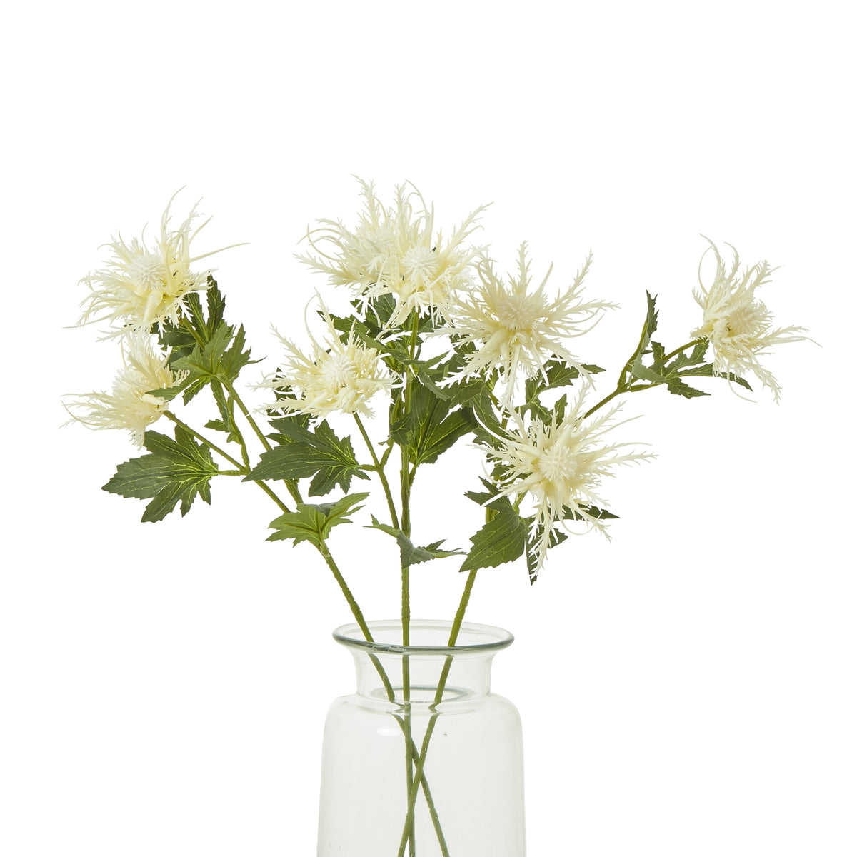 Cream Sea Holly Spray image 3