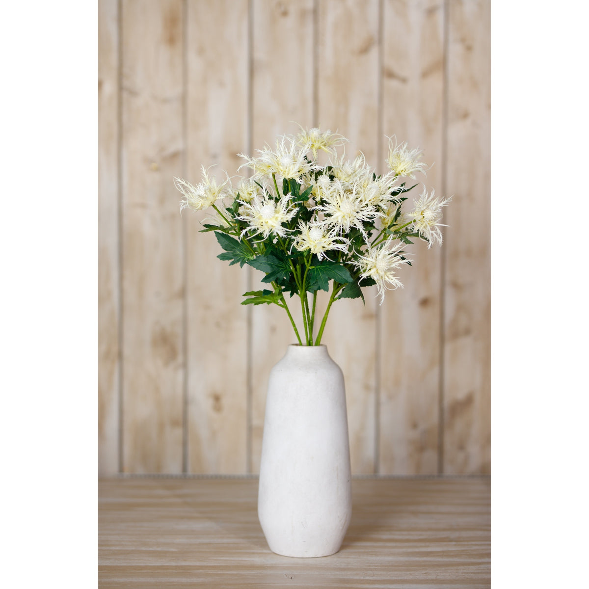 Cream Sea Holly Spray image 4