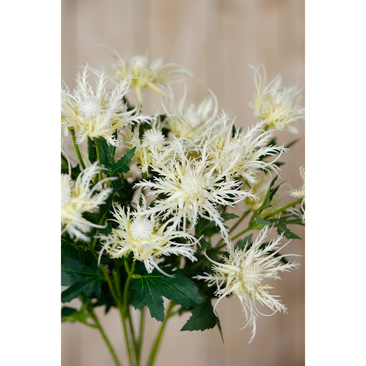 Cream Sea Holly Spray image 5