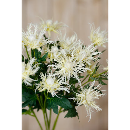 Cream Sea Holly Spray image 5
