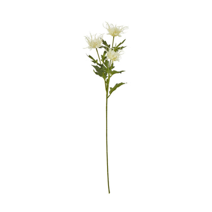 Cream Sea Holly Spray image 1