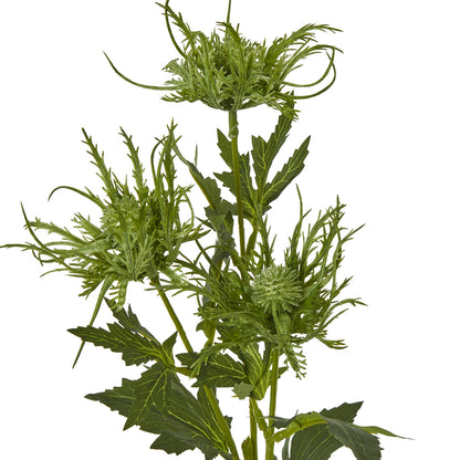 Green Sea Holly Spray image 2