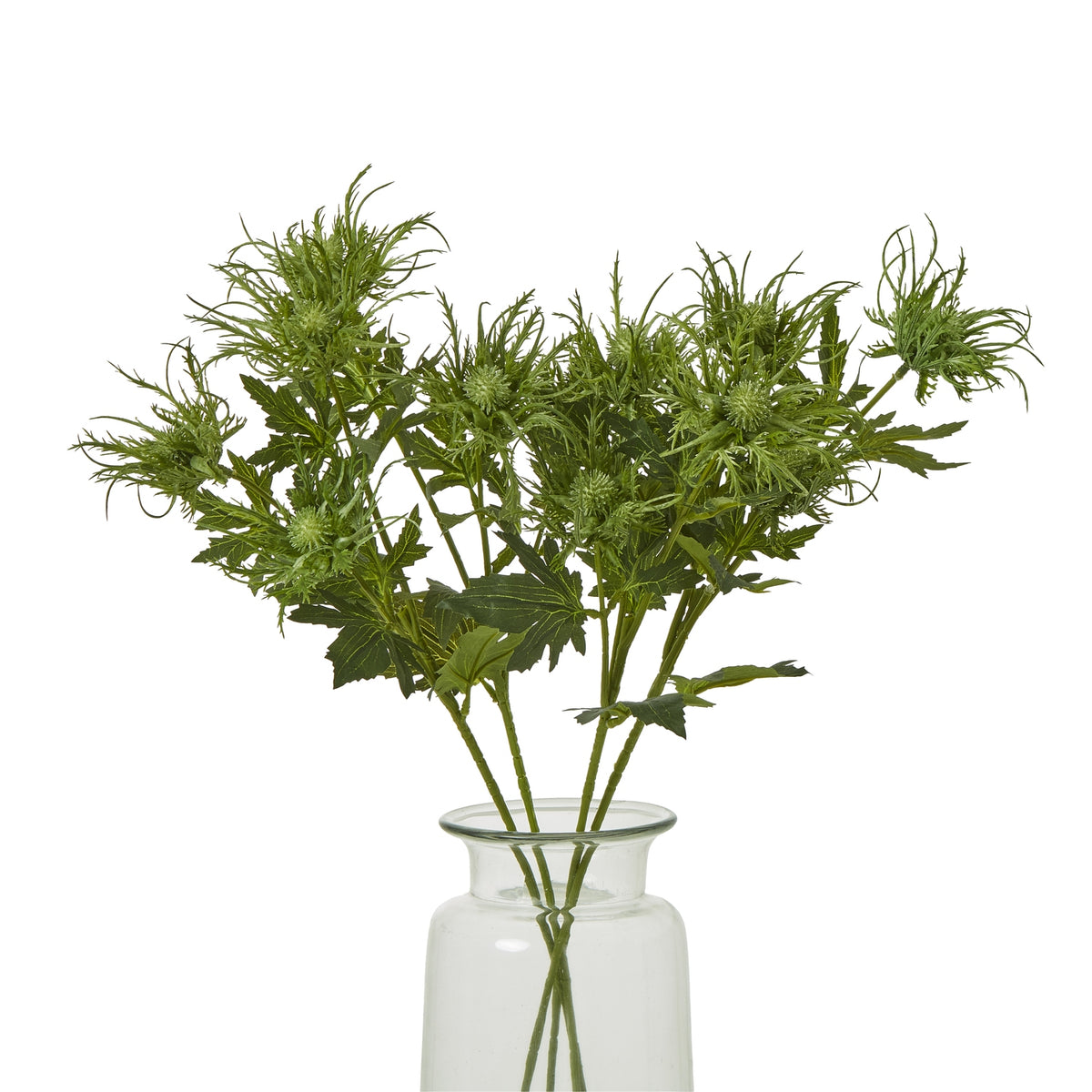 Green Sea Holly Spray image 3