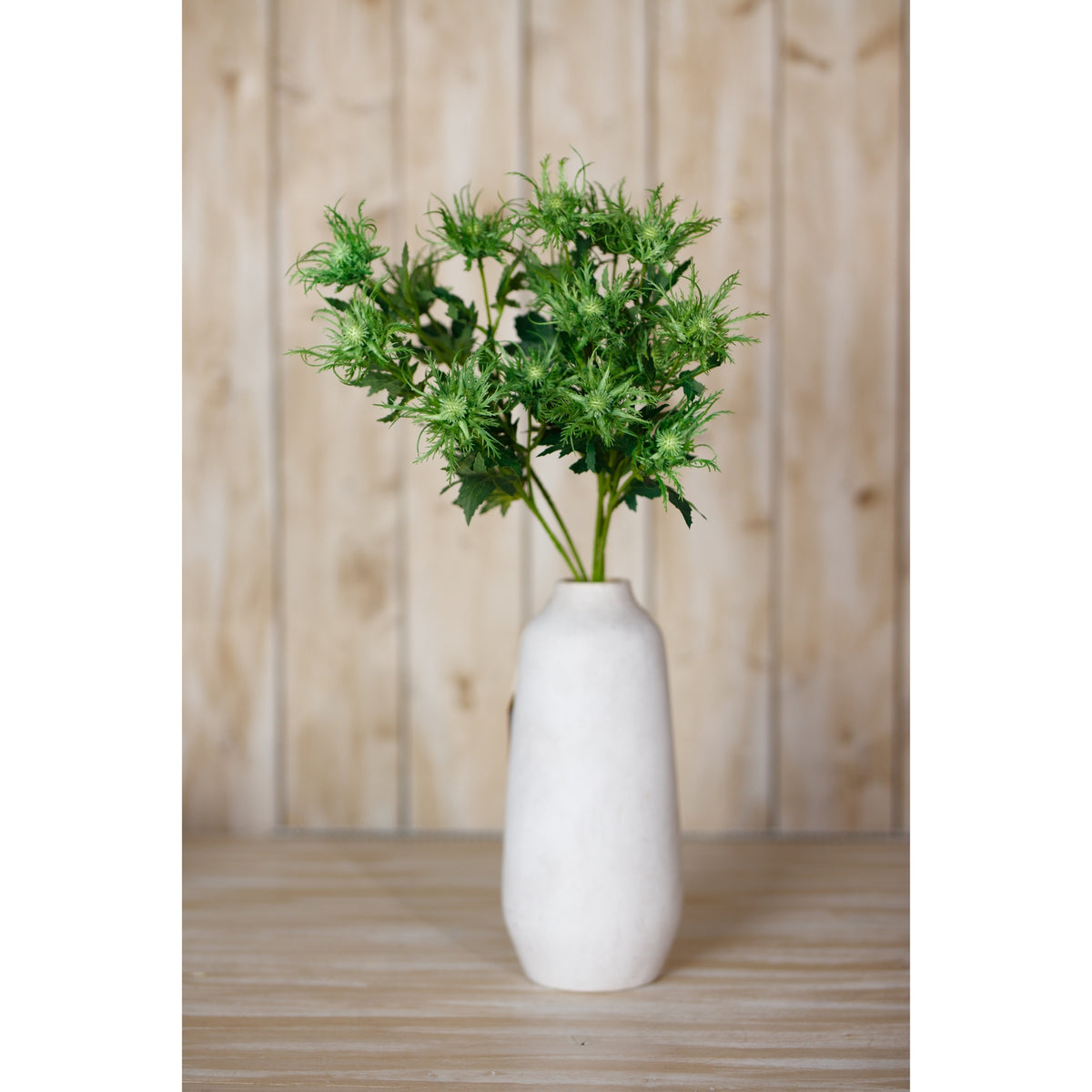 Green Sea Holly Spray image 4