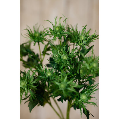 Green Sea Holly Spray image 5