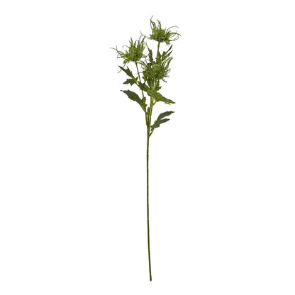 Guastalla Green Sea Holly Spray — individual stem design included in Woodland Cream