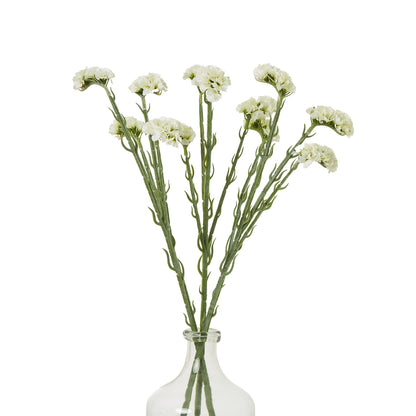 Cream Statice Spray image 3