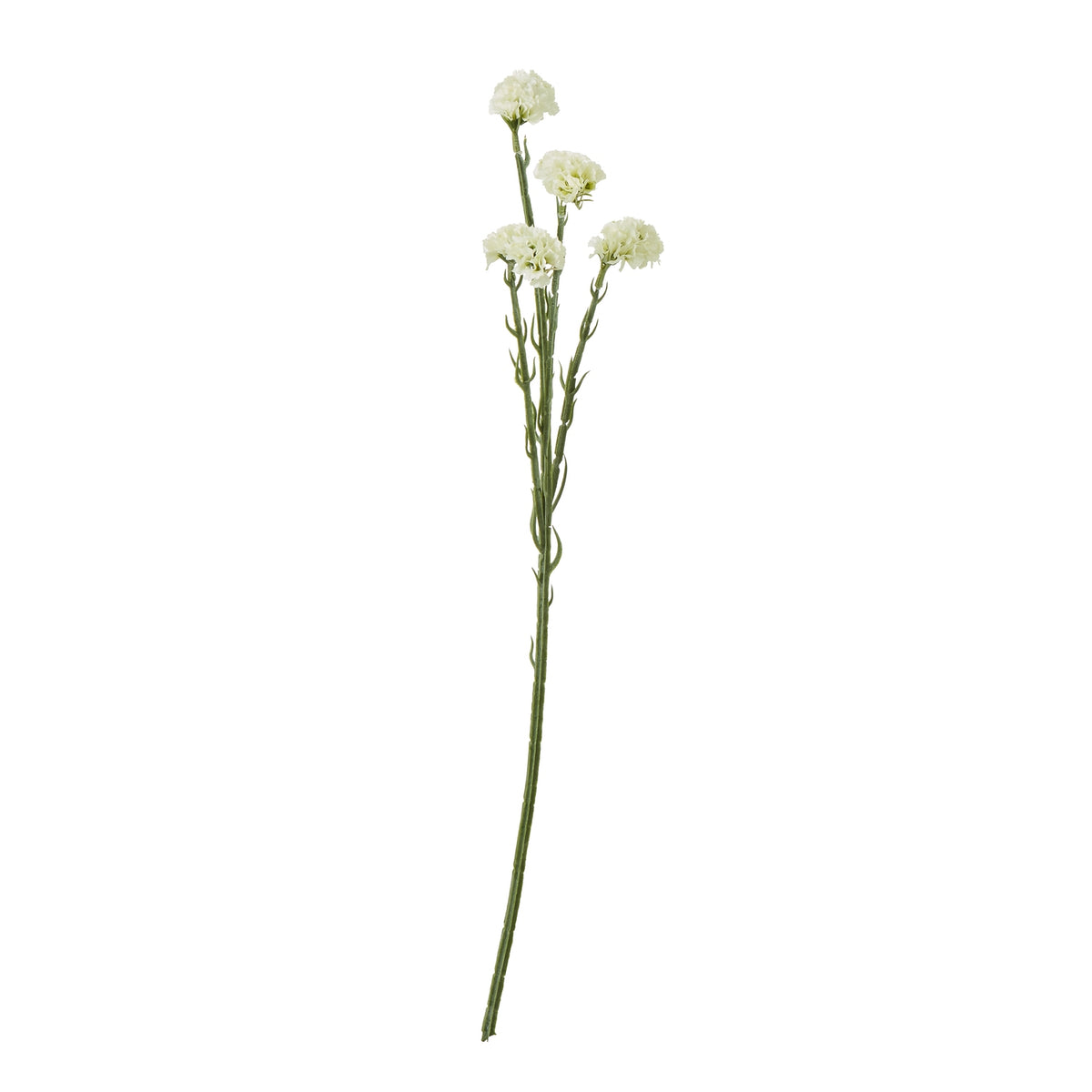 Cream Statice Spray image 1