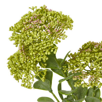 Green Sedum Spray image 2