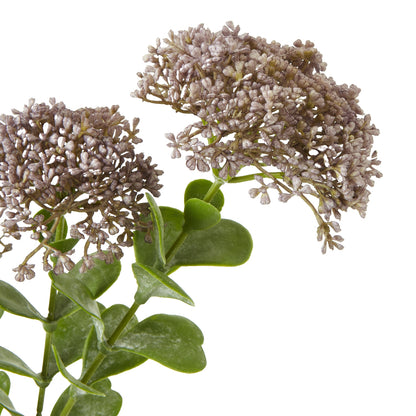 Purple Sedum Spray image 2