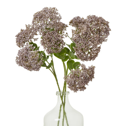 Purple Sedum Spray image 3