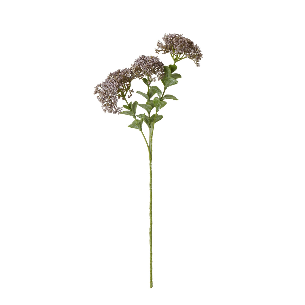 Purple Sedum Spray image 1