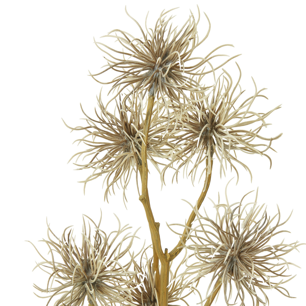Brown Xanthium Spray image 2