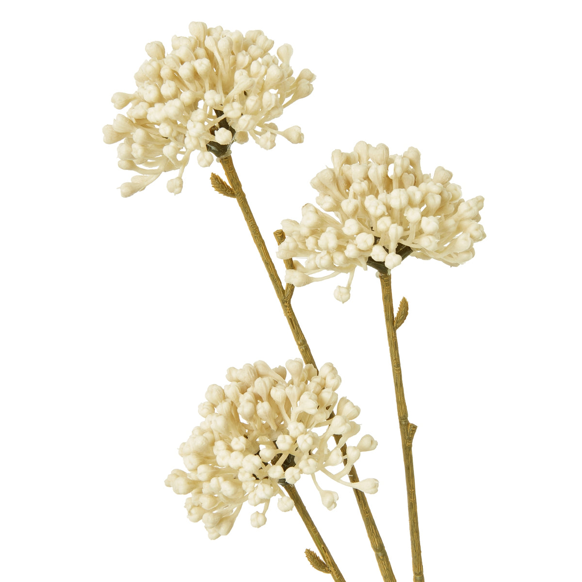Cream Allium Spray image 2