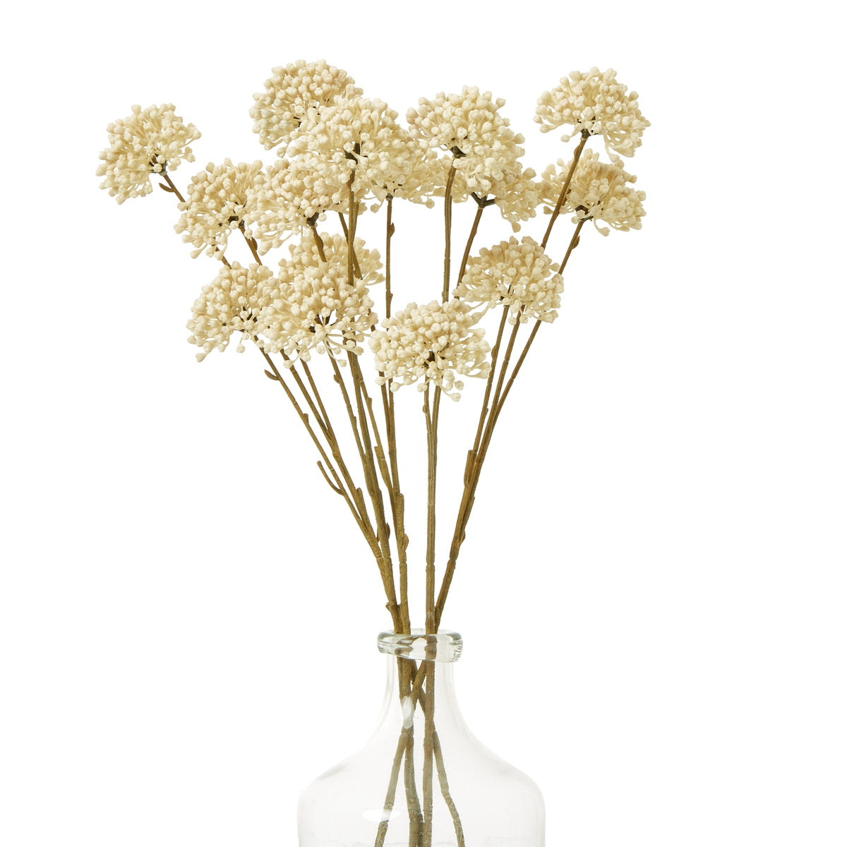 Cream Allium Spray image 3