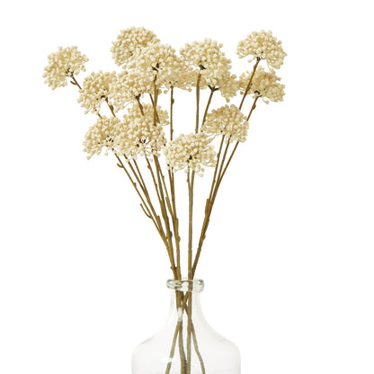 Cream Allium Spray image 3