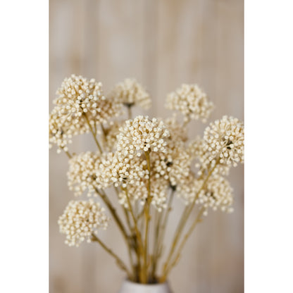Cream Allium Spray image 5
