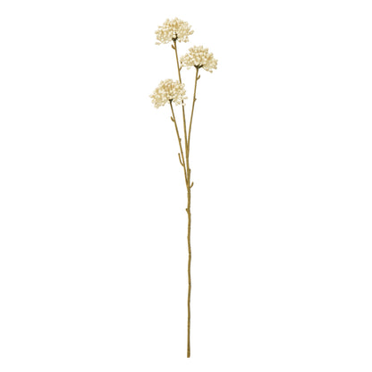 Cream Allium Spray image 1