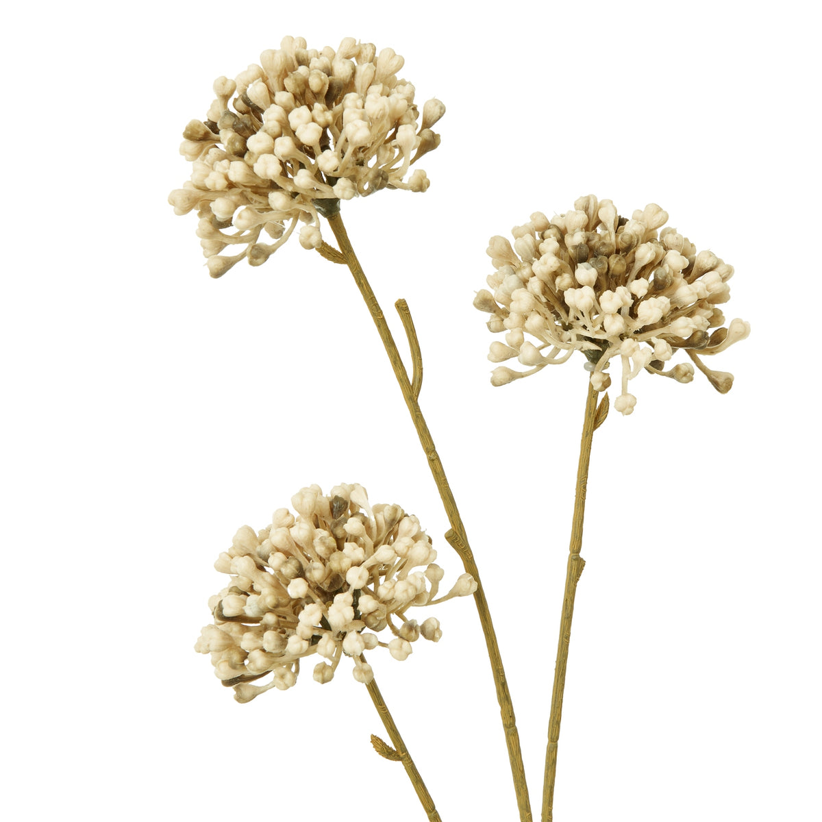 Brown Allium Spray image 2