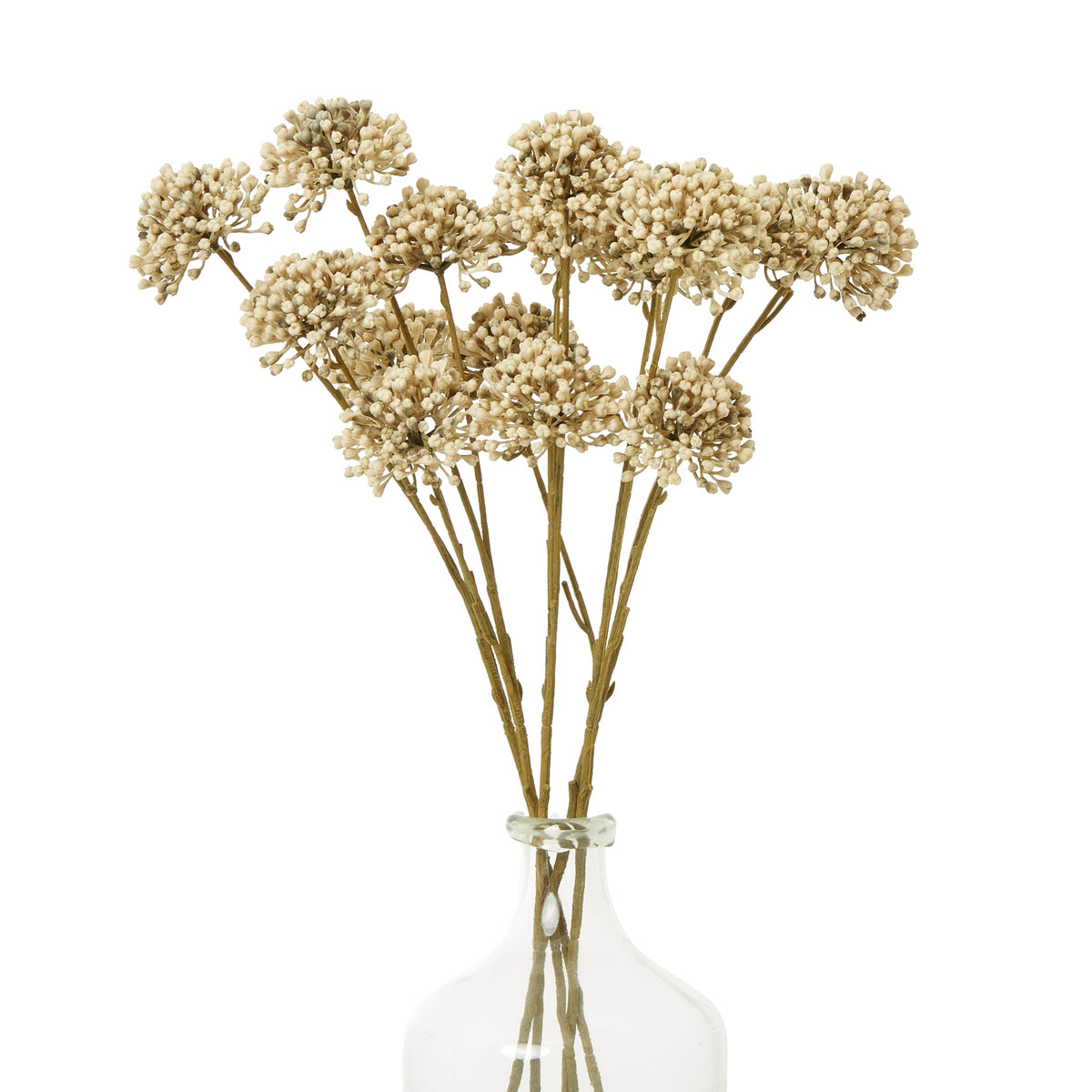 Brown Allium Spray image 3