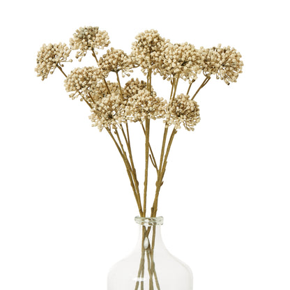 Brown Allium Spray image 3