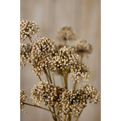 Brown Allium Spray image 5