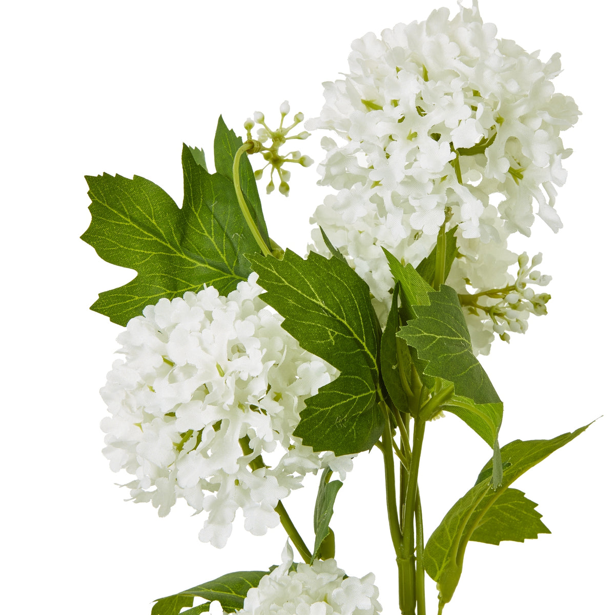 Cream Snowball Viburnum Spray image 2